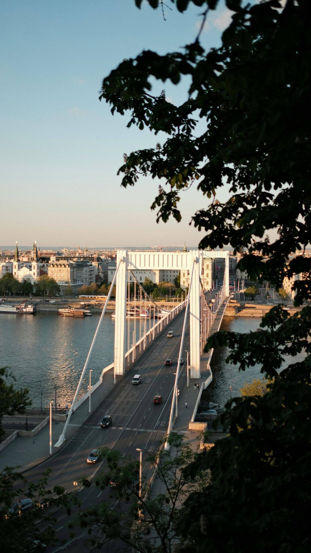 Elizabeth Bridge